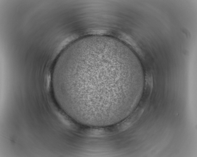 X0000113020110200909101845