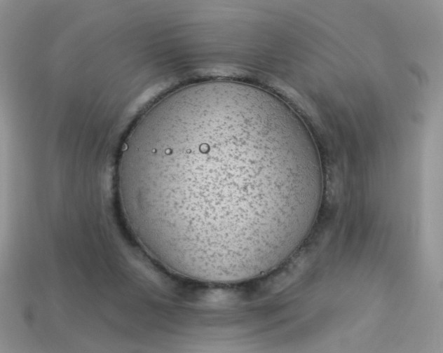 X0000113020111200909101845