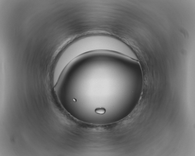 X0000113020112200909101845