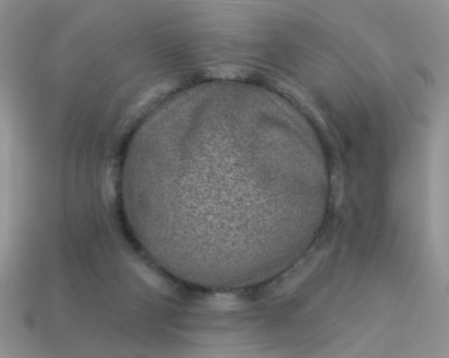 X0000113020114200909101845