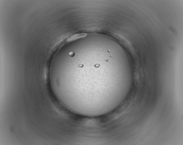 X0000113020115200909101845