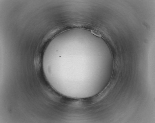 X0000113020116200909101845