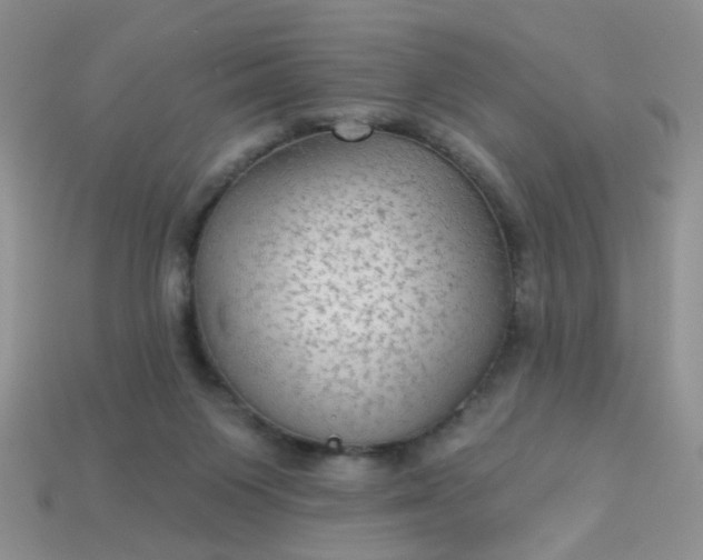 X0000113020119200909101845