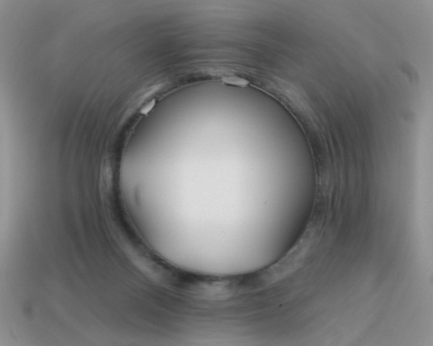 X0000113020120200909101845