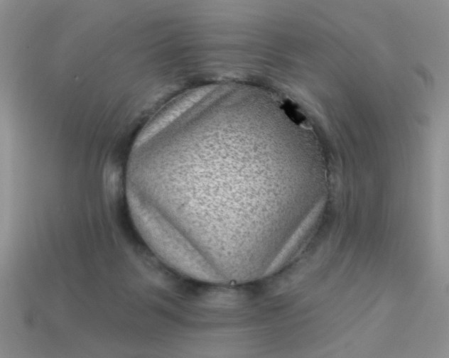 X0000113020123200909101845