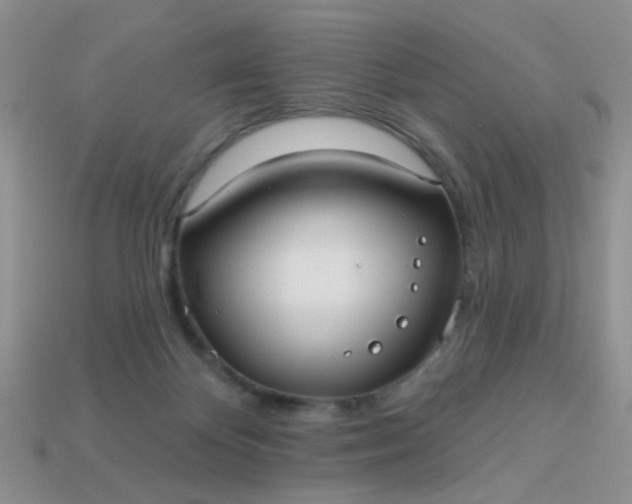 X0000113020124200909101845