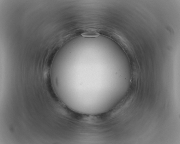 X0000113020125200909101845