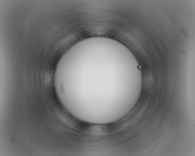 X0000113020126200909101845