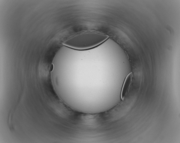 X0000113020129200909101845