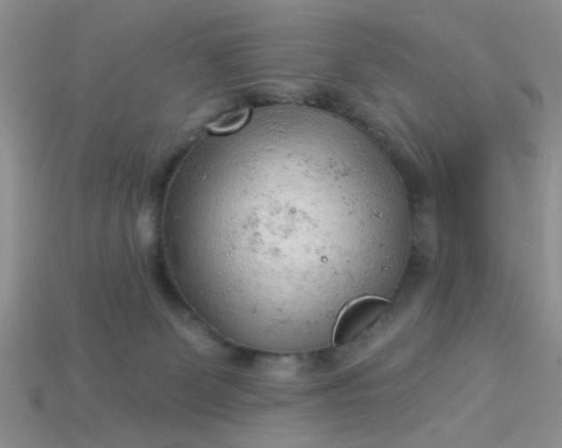 X0000113020131200909101845
