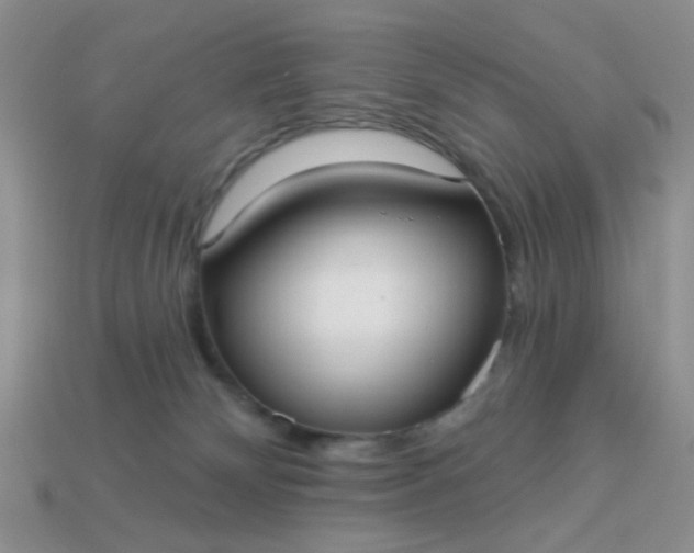 X0000113020132200909101845