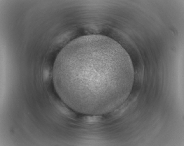 X0000113020134200909101845