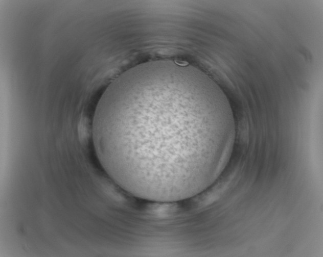 X0000113020135200909101845