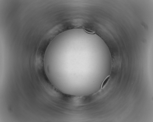 X0000113020136200909101845