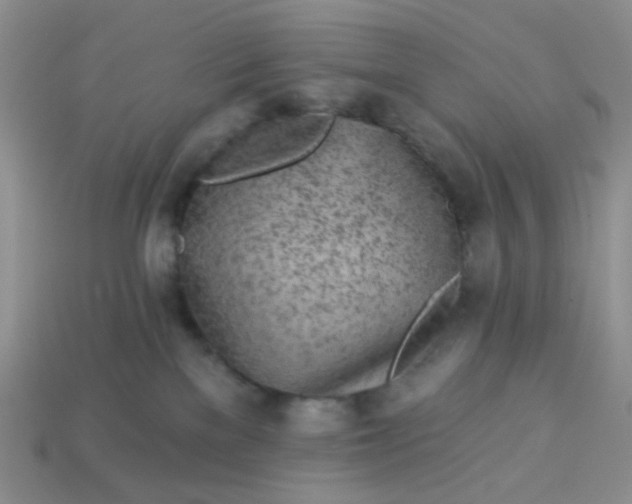 X0000113020137200909101845