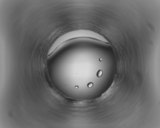 X0000113020140200909101845