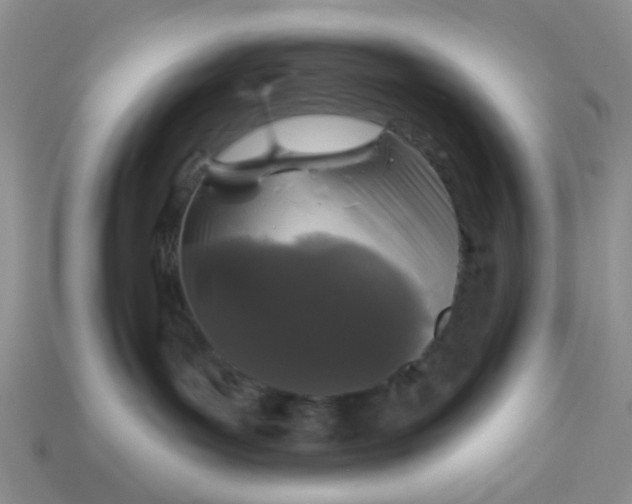 X0000113020143200909101845