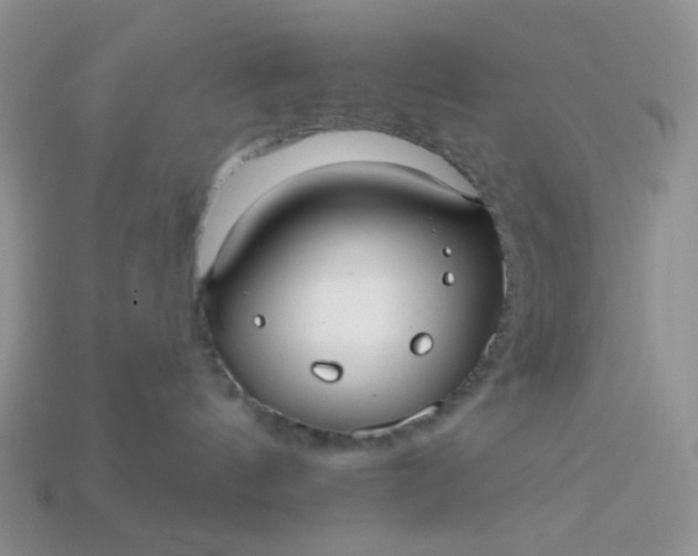 X0000113020144200909101845