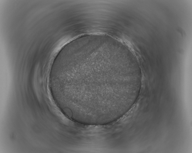 X0000113020145200909101844