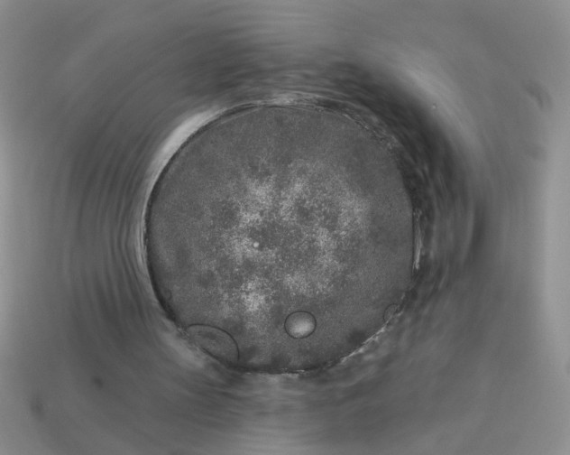 X0000113020147200909101844