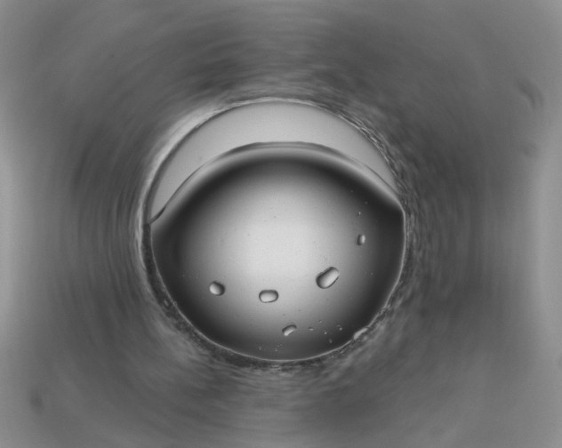 X0000113020148200909101844
