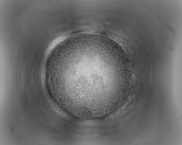X0000113020149200909101844