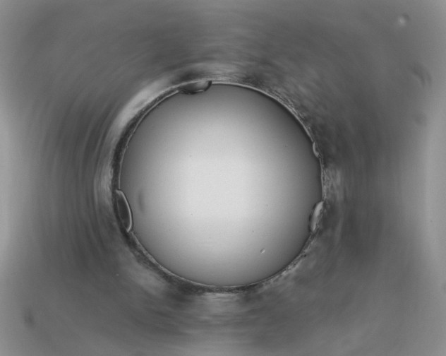 X0000113020150200909101844