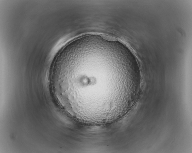 X0000113020151200909101844