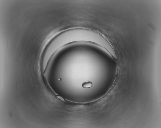X0000113020152200909101844
