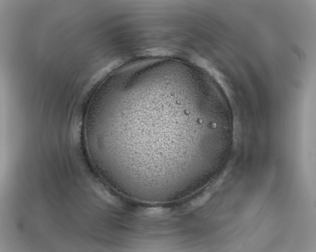 X0000113020153200909101844