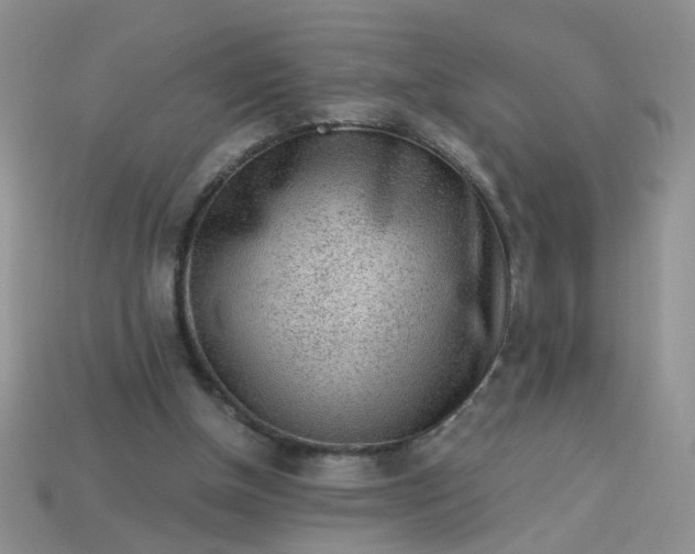 X0000113020154200909101844