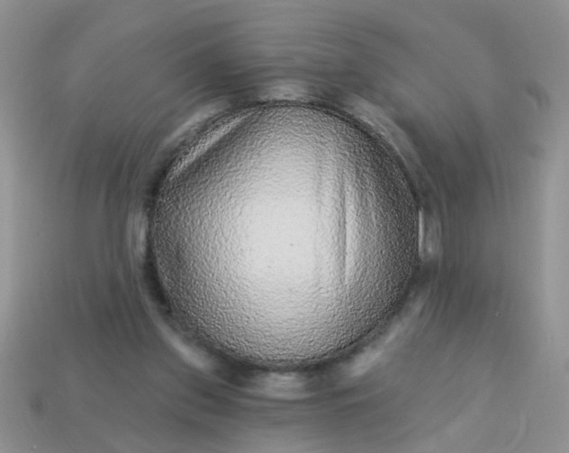 X0000113020157200909101844