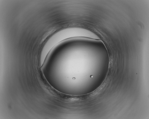 X0000113020158200909101844