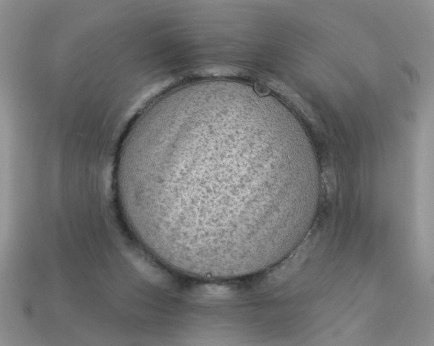 X0000113020159200909101844