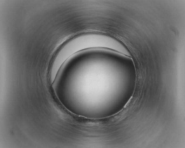 X0000113020160200909101844