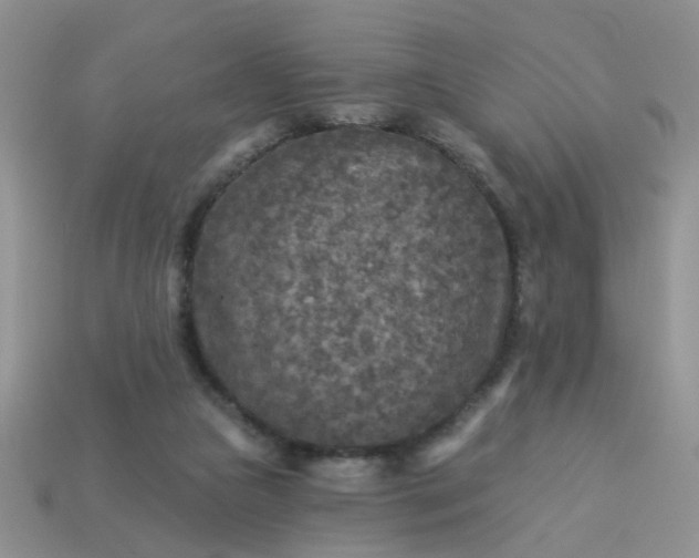 X0000113020161200909101844