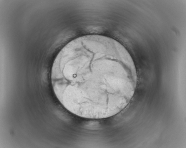 X0000113020162200909101844