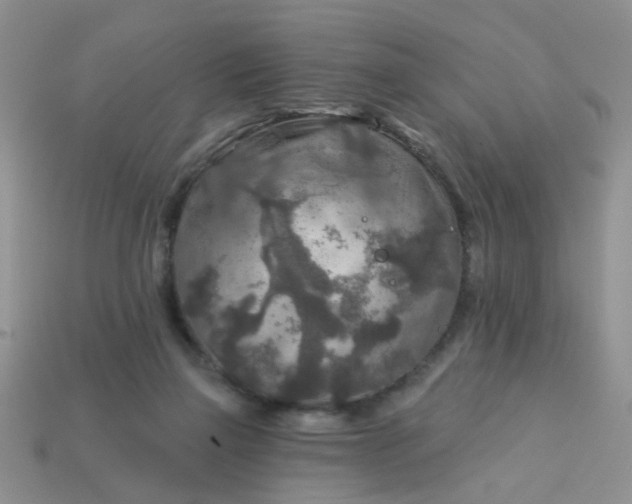 X0000113020165200909101845