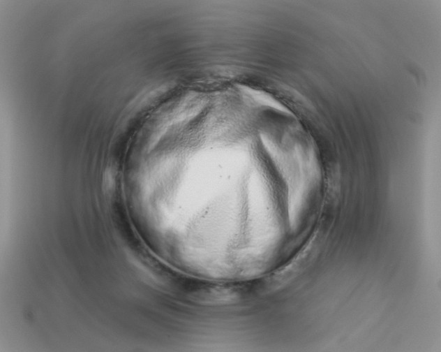 X0000113020166200909101845