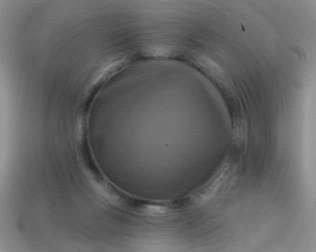 X0000113020167200909101845