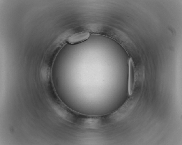 X0000113020168200909101845