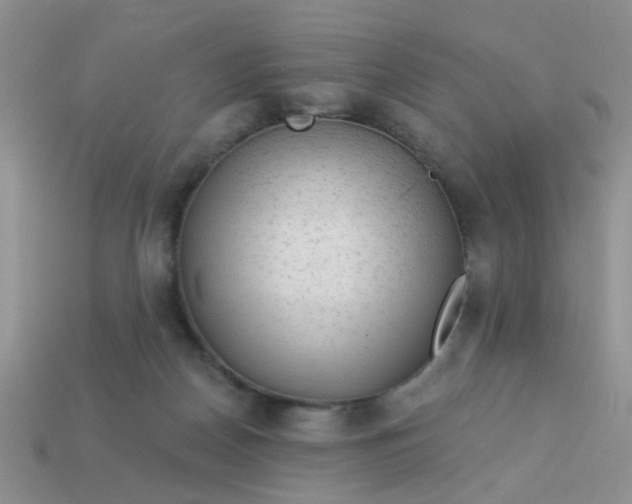 X0000113020170200909101845