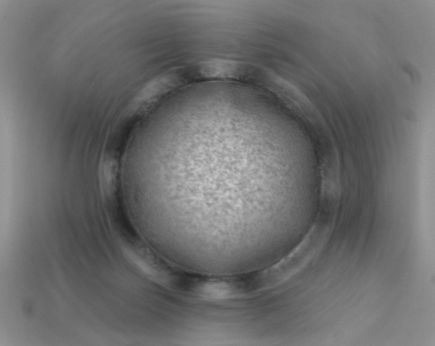 X0000113020171200909101845