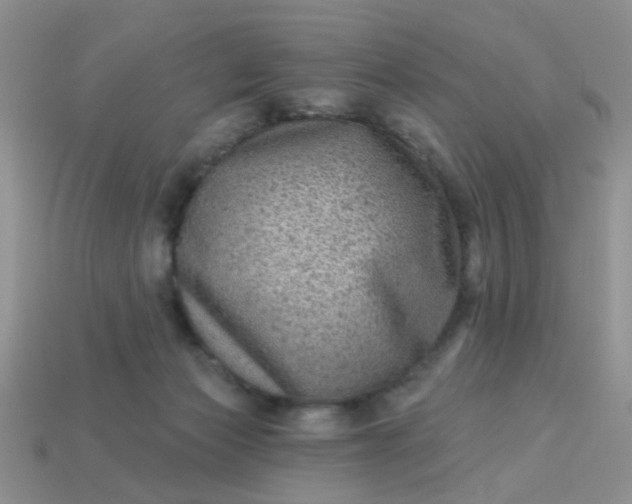 X0000113020173200909101845