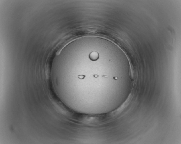 X0000113020174200909101845