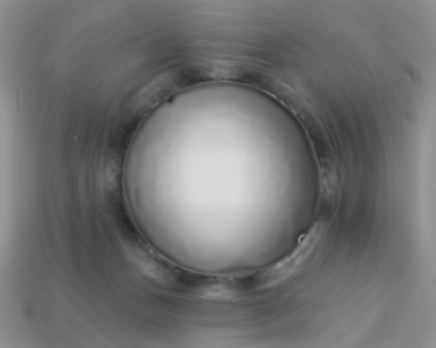 X0000113020175200909101845