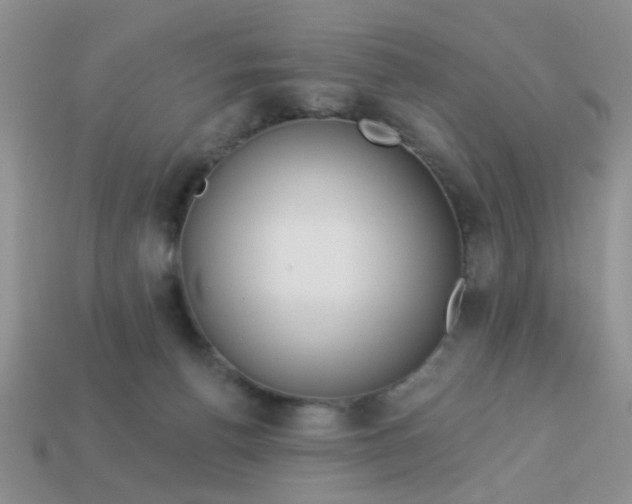 X0000113020176200909101845