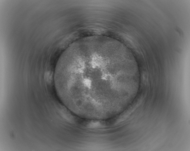 X0000113020177200909101845