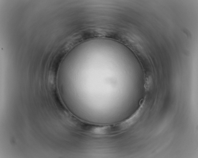 X0000113020178200909101845