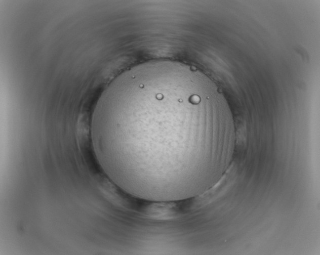 X0000113020179200909101845